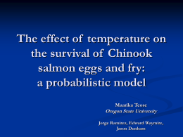 The effect of temperature on the survival of Chinook