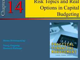 Chapter 1: Risk Topics and Real Options in Capital Budgeting