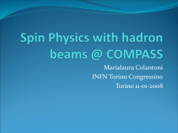 Spin Physics with hadron beam @ COMPASS