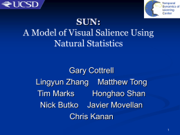 SUN: A Model of Visual Salience Using Natural Statistics