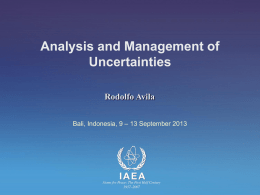 07. Avila Uncertainty Management_Bali_2013