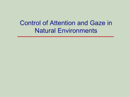Control of Attention and Gaze in Natural Environments