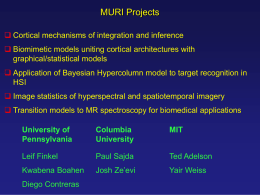NRL Presentation - Laboratory for Intelligent Imaging and Neural