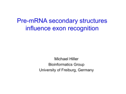 General influence of mRNA secondary structure on splicing