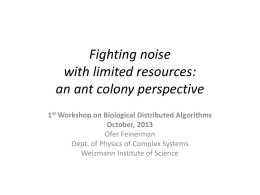Fighting noise with limited resources: an ant colony perspective