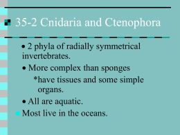 35-2 Cnidaria and Ctenophora