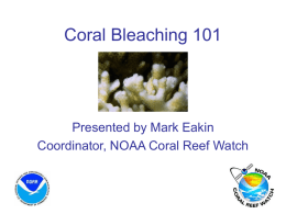 Coral Bleaching 101 - NSTA Learning Center
