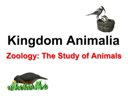 Zoology - Cardinal Newman