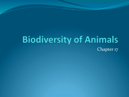 Animals Part I - CCRI Faculty Web