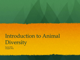 Introduction to Animal Diversity