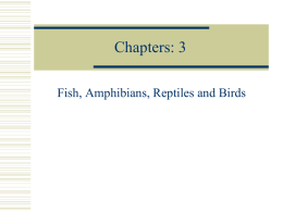 Chapters: 3 - Grafton School District