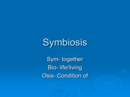 Symbiosis - ThinkScience!