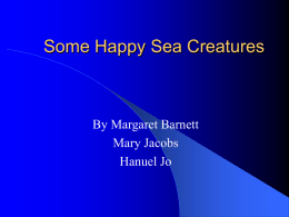 Some Happy Sea Creatures