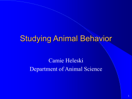 Studying Animal Behavior (Using the horse as a model)