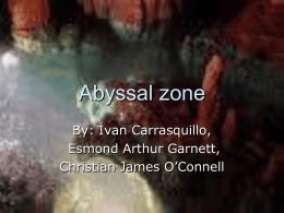 Abyssal1`1