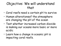 Corals and pH ppt