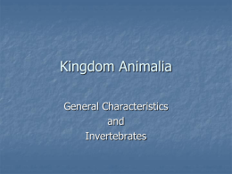 Kingdom Animalia pp