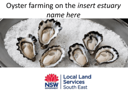 One Hour Brief Presentation - NSW South Coast Oyster Industry