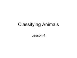 Classifying Animals L4 part 1