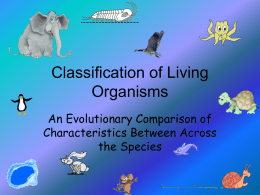 classification_of_living_organisms