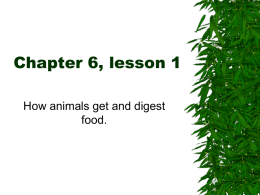 Chapter 6, lesson 1