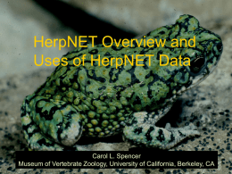 HerpNET Overview