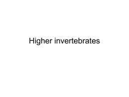 higher invert. notes