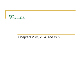 Worms - walker2014