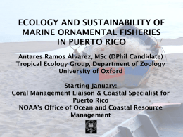 Sustainability of Ornamental fisheries in Puerto Rico (DPhil)