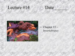 Lecture #14 Date - Biology Junction