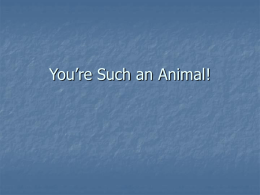 You`re Such an Animal!