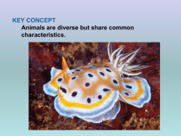 Animals are the most physically diverse kingdom of