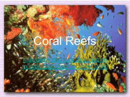 Coral Reefs PPT