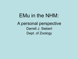 EMu in the NHM