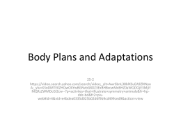 Body Plans and Adaptations 25