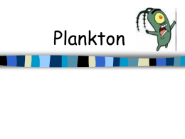 Plankton - dsapresents.org
