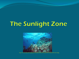 The Sunlight Zone
