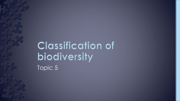 Classification of biodiversity