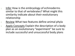 Ch 25 Introduction to Animals