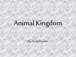 Animal Kingdom Interactive Notebook