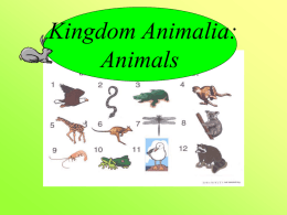 Animals - Petal School District
