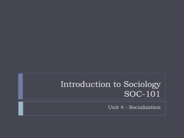 Principles of Sociology SOC-201