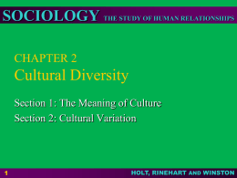 CHAPTER 2 Cultural Diversity