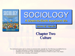 Sociology: A Down-to-Earth Approach, 8/e
