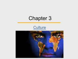 Ch 03 Culture