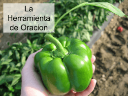 The Prayer Tool in Spanish - La Herramienta de