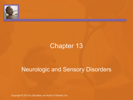 class 12 chapter 13