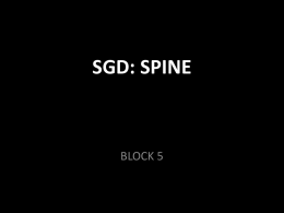 SGD: SPINE