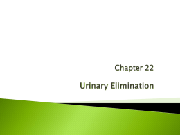 Chapter 22 Urinary Elimination