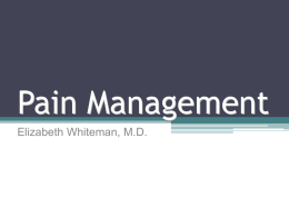 2. Pain Management Overview - 263 KB